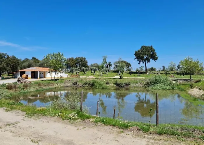 Kochab Alentejo By Portus Alacer