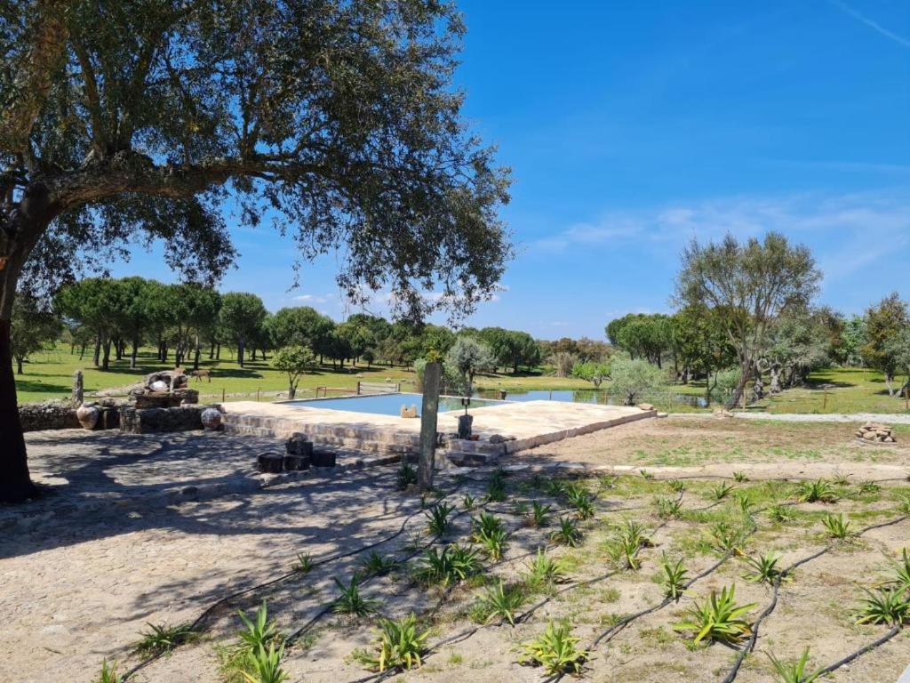 Kochab Alentejo By Portus Alacer * Crato